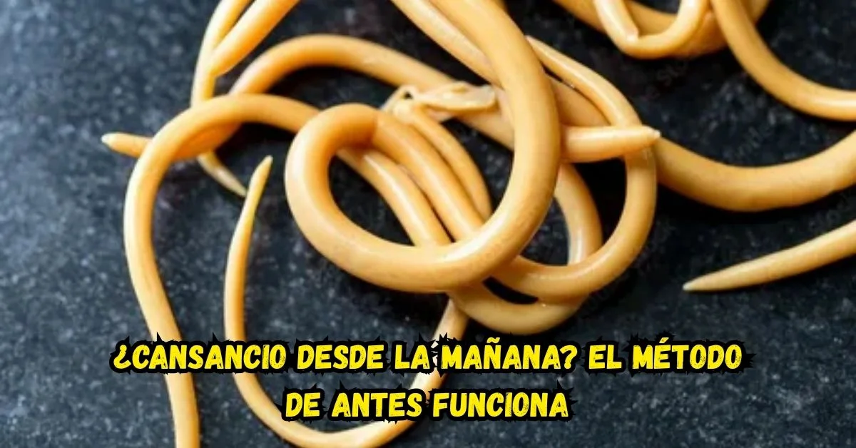 Fond éditorial
