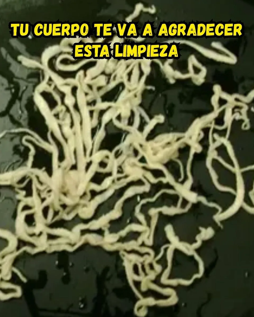 Avis glucomannane et fibres alimentaires